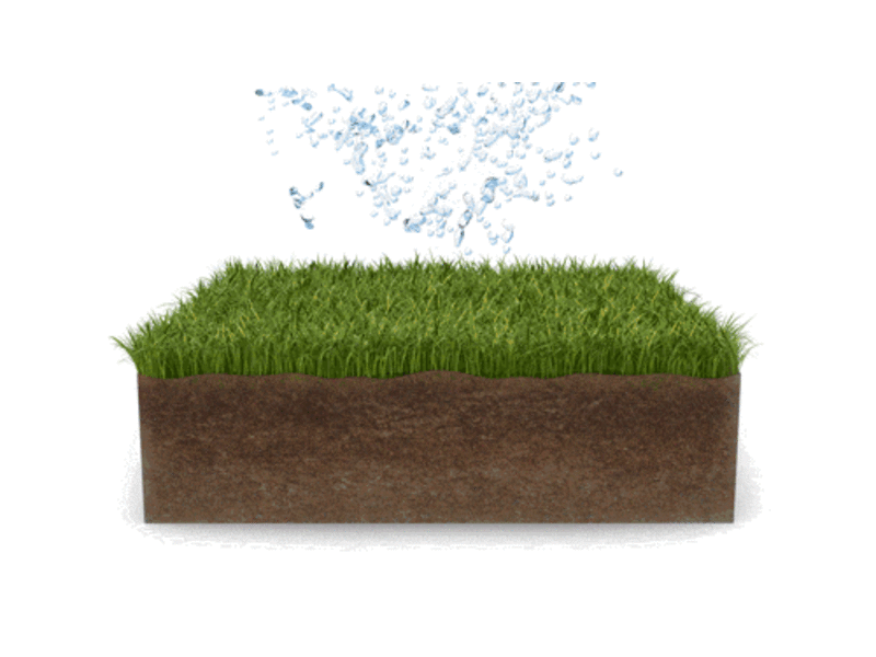 TrueGrid® Pro-Lite Plastic Permeable Paver Grid - 24" W x 24" L x 1" H - 4 SQ FT